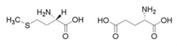 Methionine and Glutamic Acid Graphic